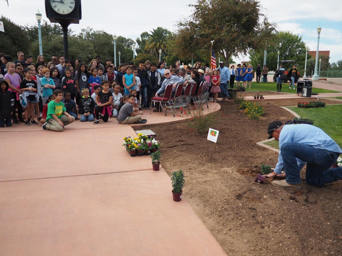 2019 Children's Garden: first flower