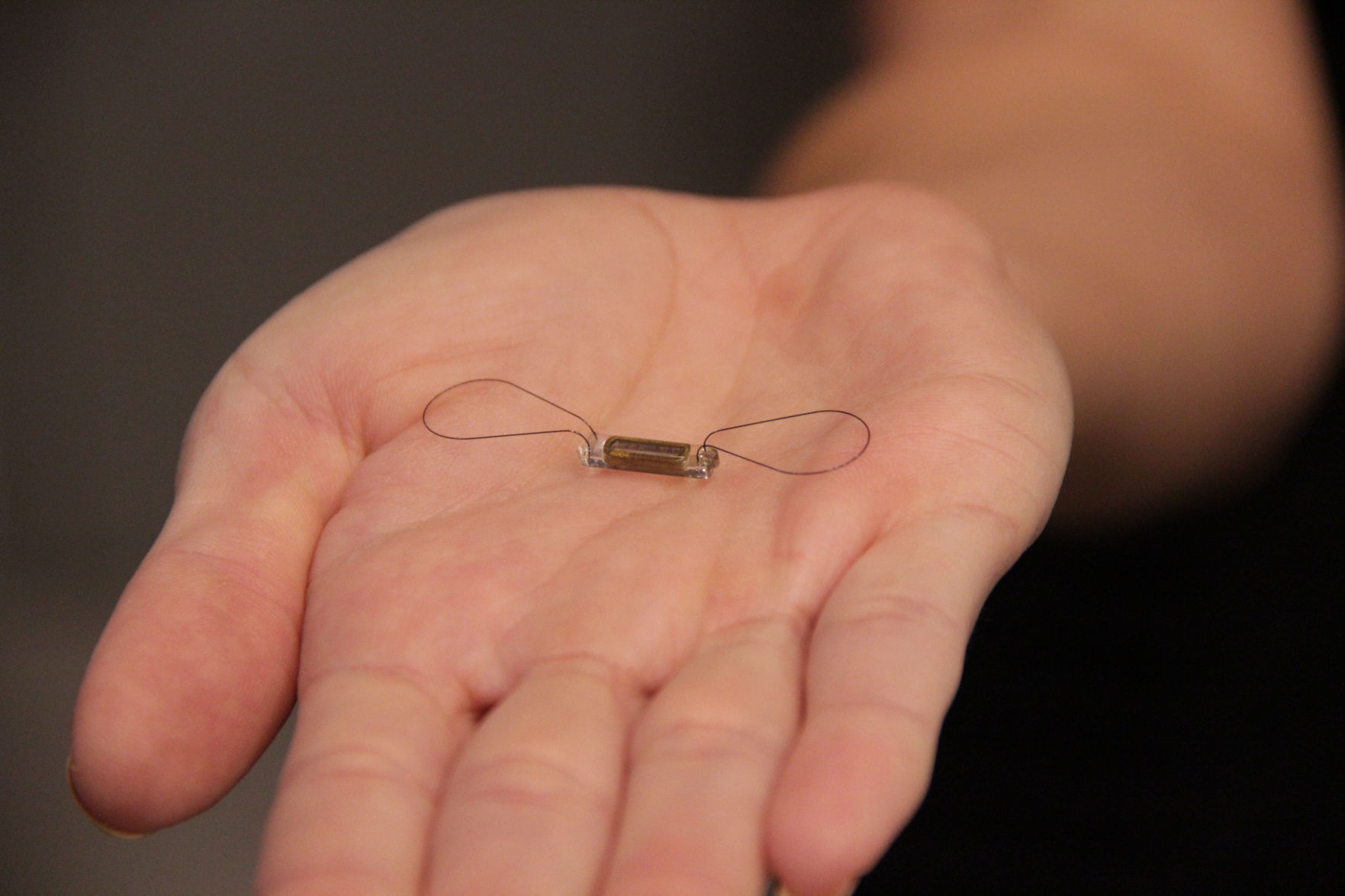 heart monitor implants heart monitor implants