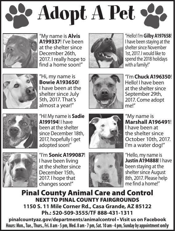 Pinal County Animal Care and Control, 5/16/18 Adopt A Pet