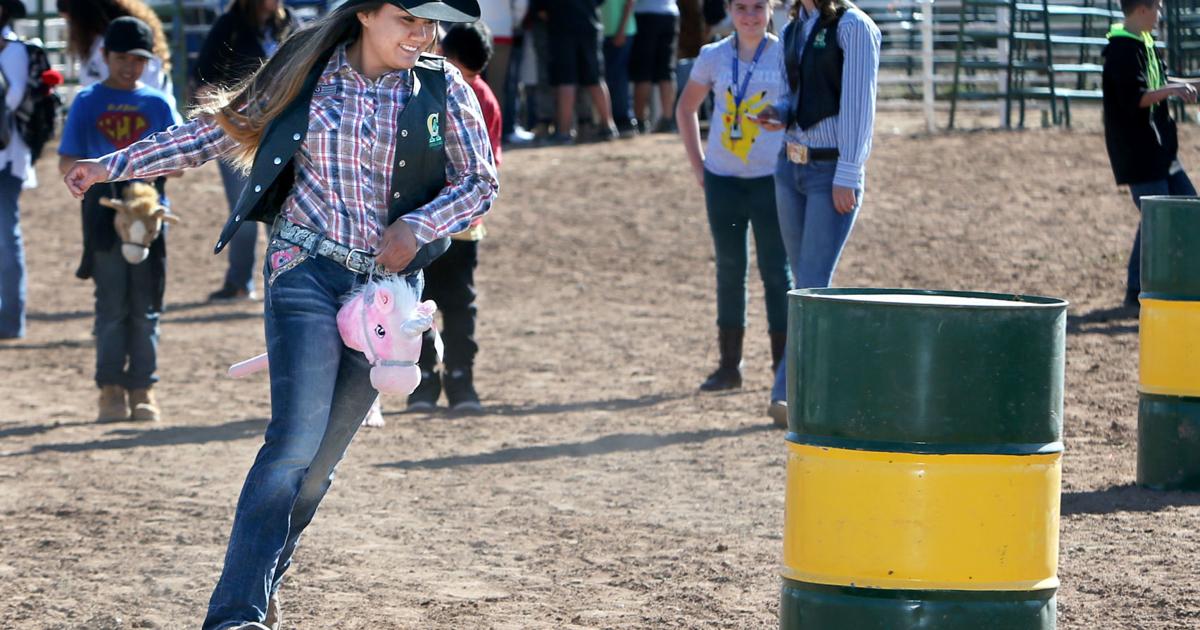 Student Rodeo Exceptional rodeo gives students an up-close look | Recreation ...