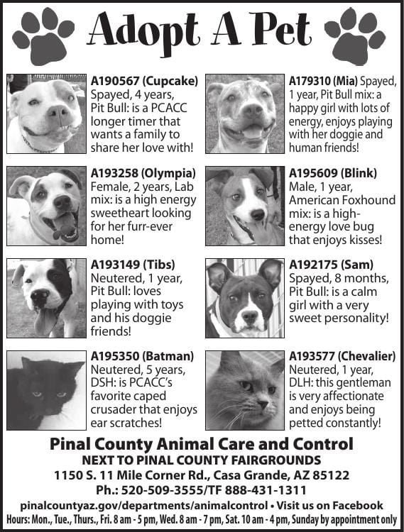 Pinal County Animal Care and Control, 9/27/17 | Adopt A Pet