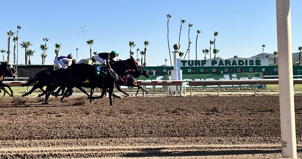 ‘Back to its glory days': Turf Paradise begins 70th season with new vision, renewed hope