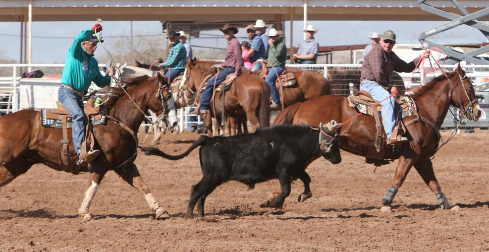 Maple Leaf Rodeo Maple Leaf Classic | Featured | pinalcentral.com