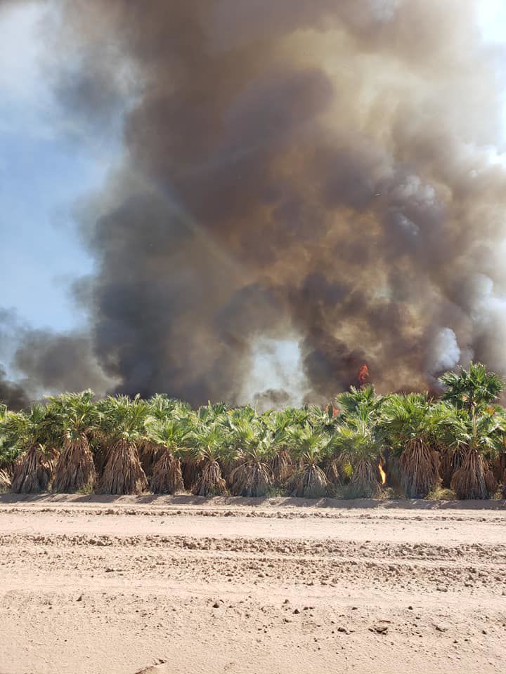Worker Stolen safe found near Robson Ranch palm tree farm fire News