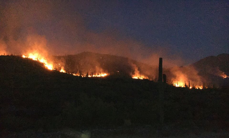 East Desert Fire