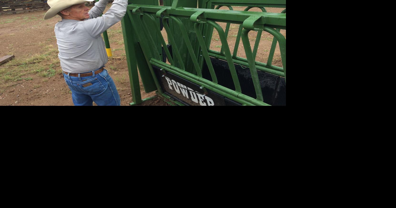 Pinal cattle ranching difficult way to make living but defies ...