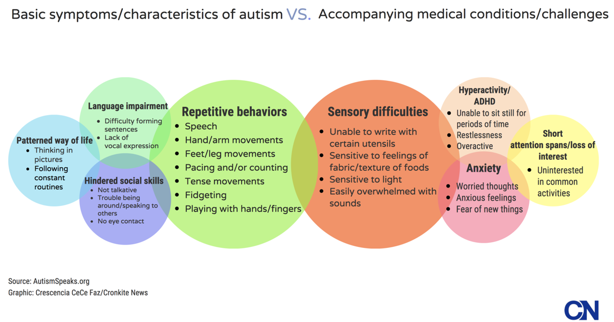 Autism Flow Chart Pinalcentral Com