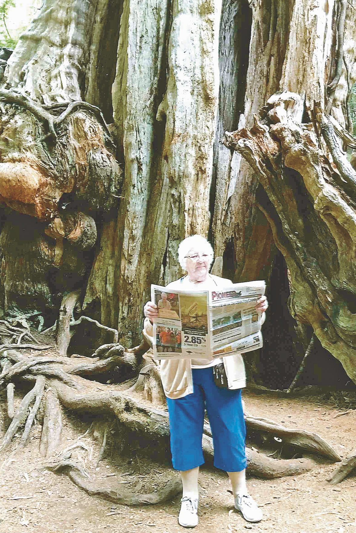 Among the trees with the Pioneer