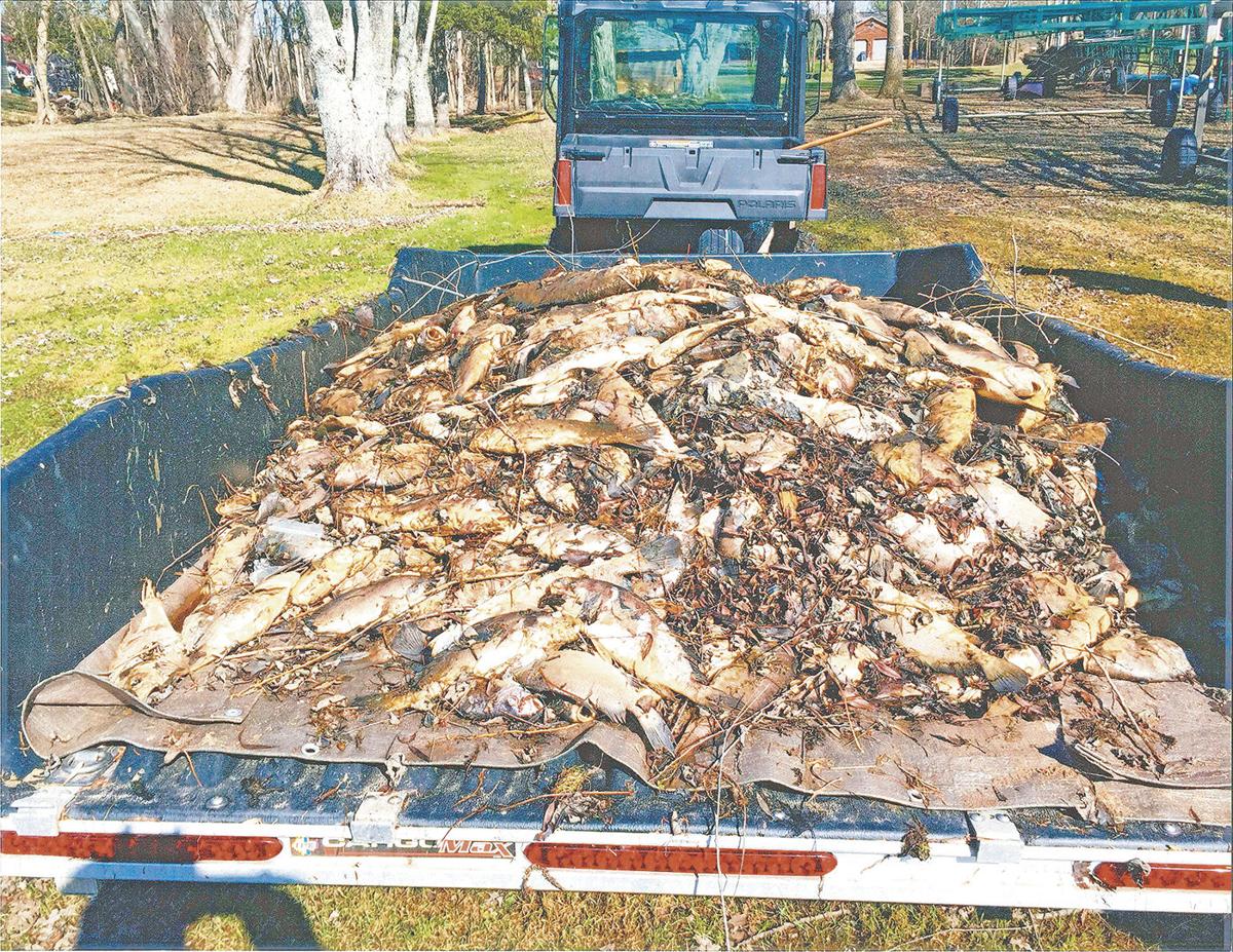 Lake Pokegama Fishing Report Pine City Unique Fish Photo