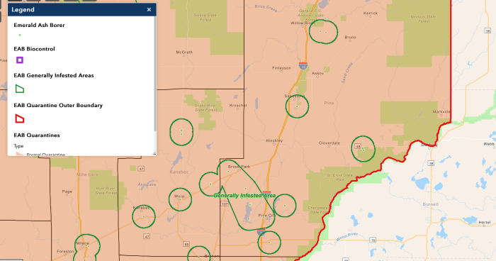 Pine County in quarantine zone for Emerald Ash Borer