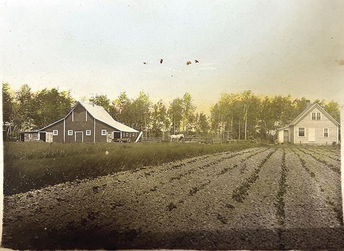 Hinckley farm still in the family after 100 years Local