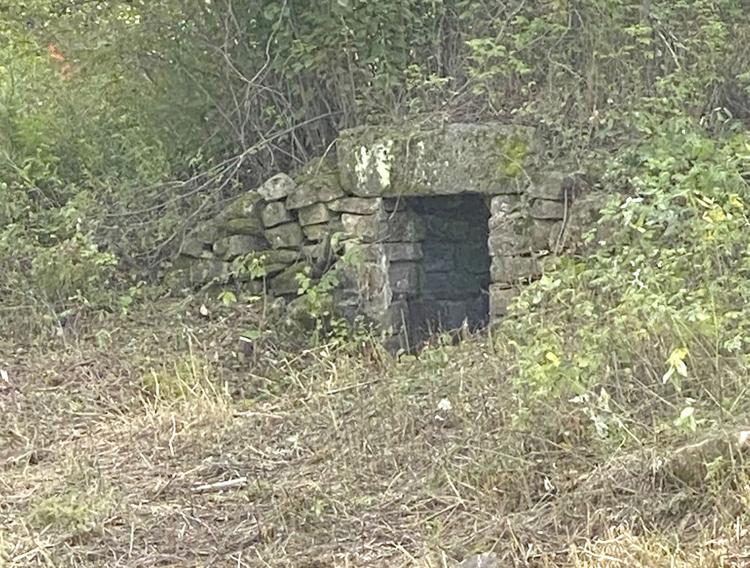 ‘The root cellar can save us’ News