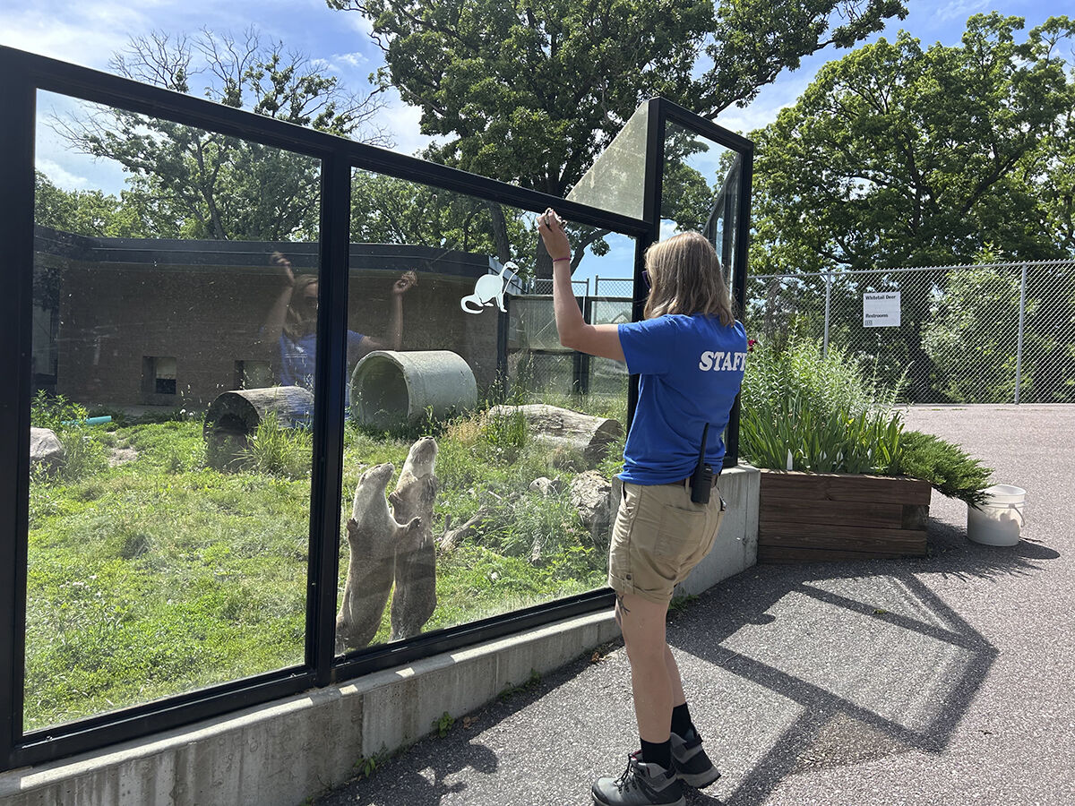 Ochsner Zoo welcomes new zookeeper from Pine County | News