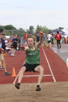 Dragons Track and Field perform well at sections