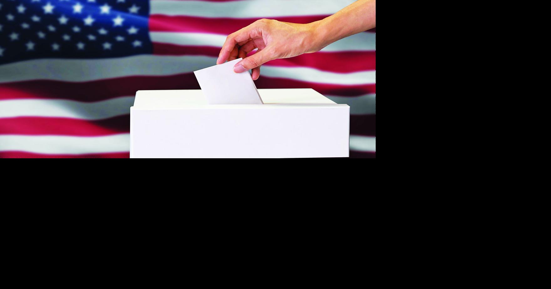 August 11 Primary results