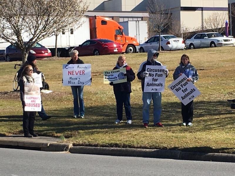 Animal Enthusiasts Protest Garden Bros Circus At Minges Coliseum News Piratemedia1 Com