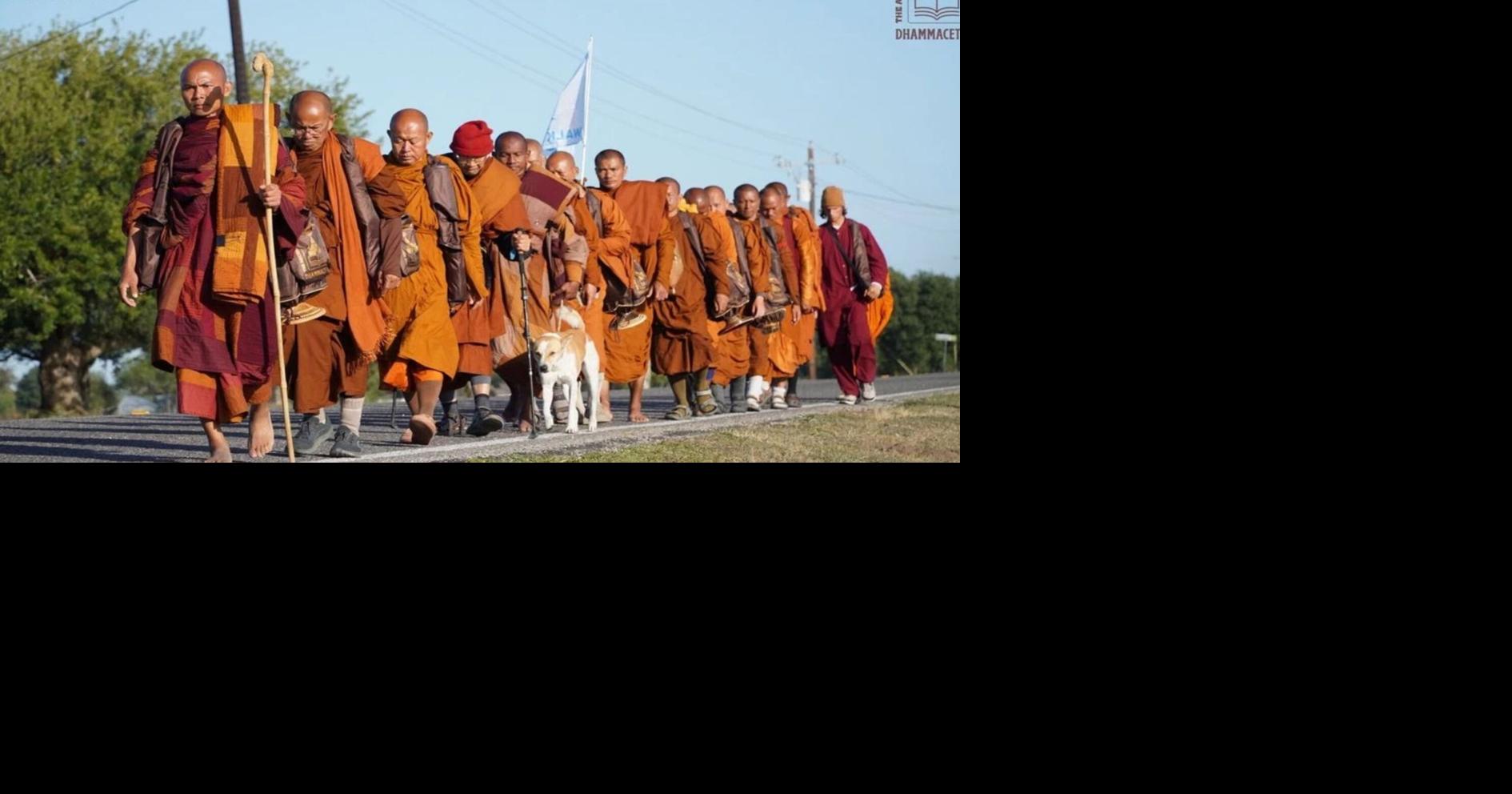 the monks who held there walk of peace is important for understanding global peace.