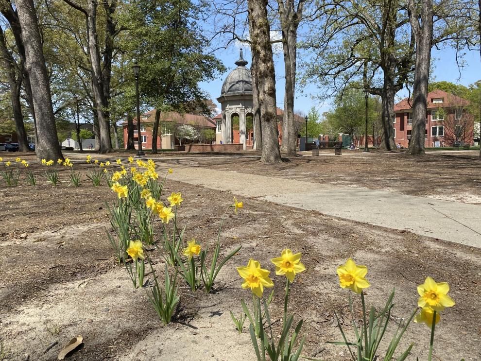 ECU encourages environmental awareness through Earth Day - Vimarsana News