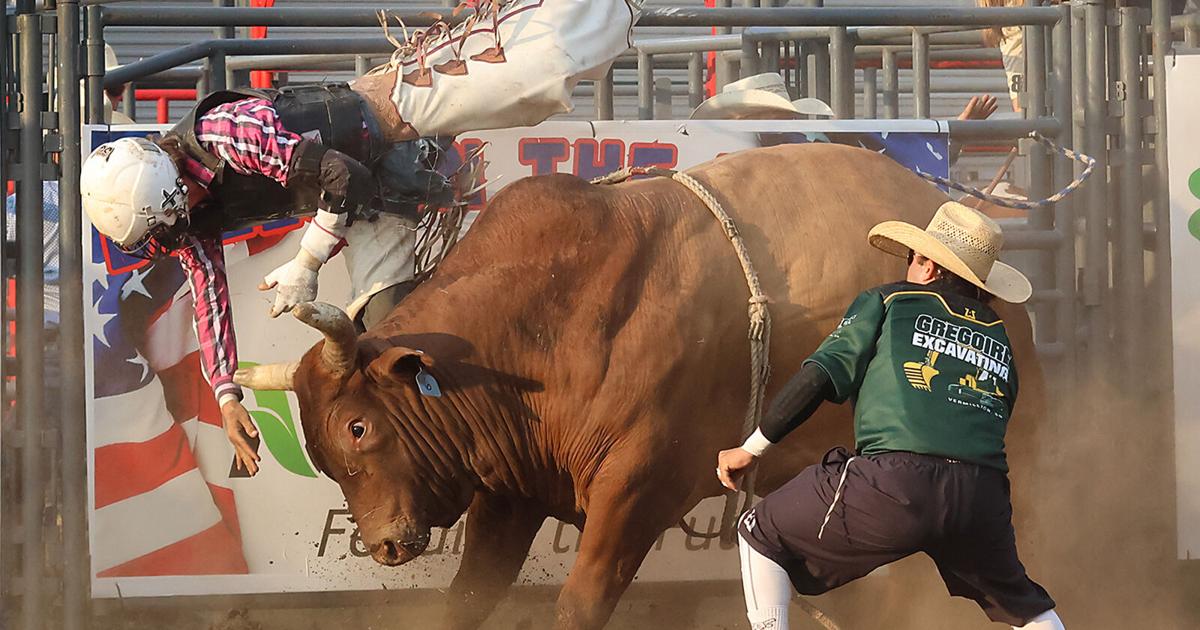 Riding High At The Clay County Fair
