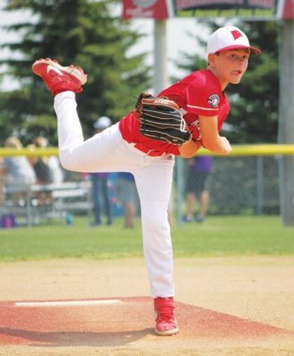 Port Huron Cubs 10U baseball team ends season on high note