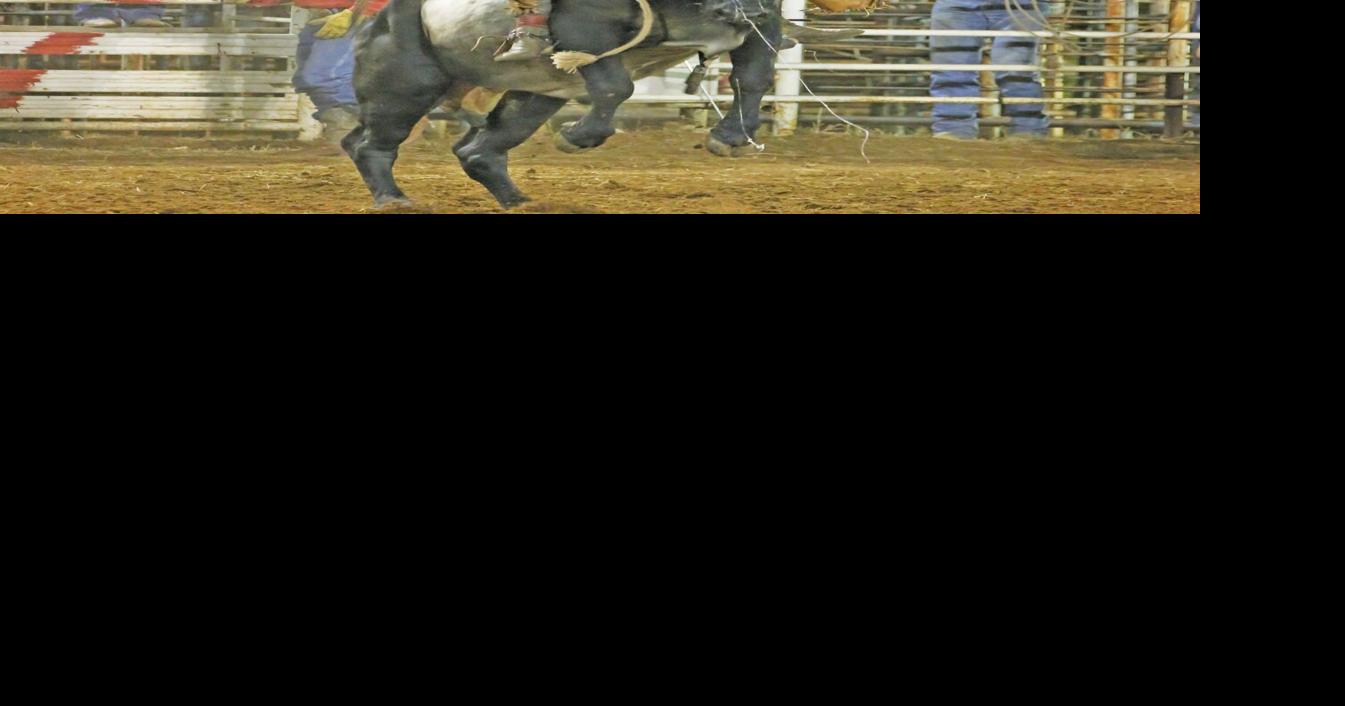 Cowboy Homecoming bull riding results | News | pleasantonexpress.com
