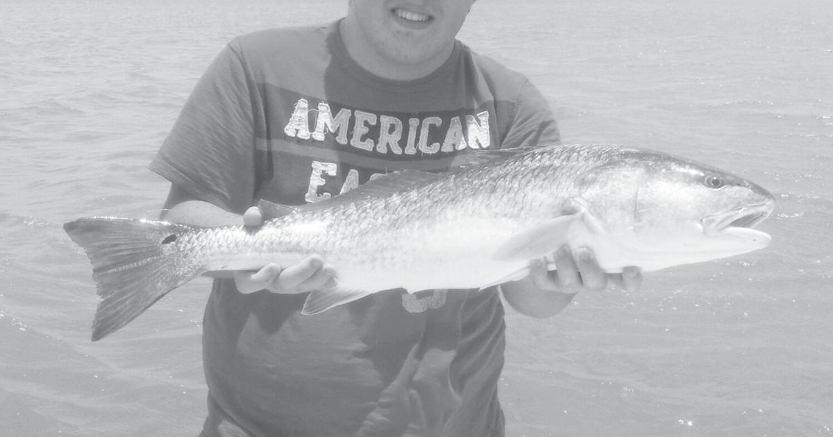 Local Youngster Reels In 31-Inch Redfish | Sports | pleasantonexpress.com