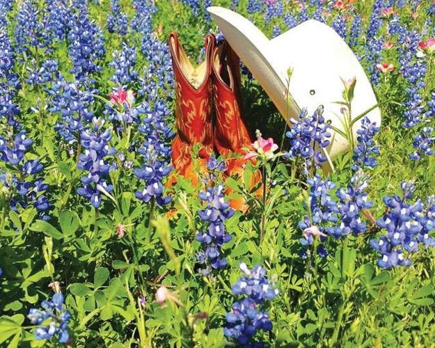 Texas Spring Holiday Spring in South Texas | News | pleasantonexpress.com