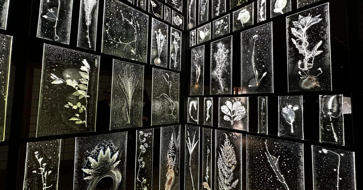 GAS Student Meet Up with Rui Sasaki – Glass Art Society