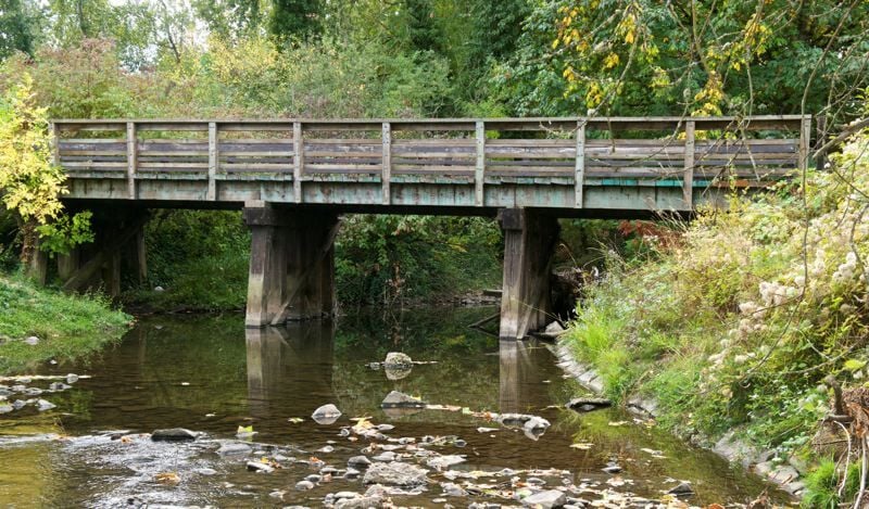 Springwater Corridor bridge a boon for Johnson Creek fish