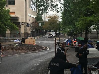 Portland protesters' elk statue snatched from downtown