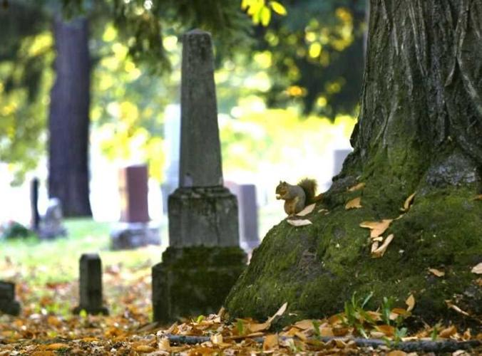 Haunted Portland: 5 spooky sites to see on Halloween weekend