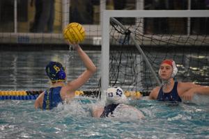 673ab2dbce653.image State water polo roundup girls: Newberg takes third, Barlow finishes in fifth | Sports