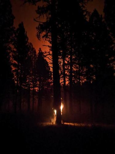 Survey: Oregonians worried about future wildfires