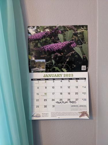 January garden calendar