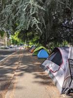 Poll: 75% of voters call Portland homeless issue a ‘disaster’