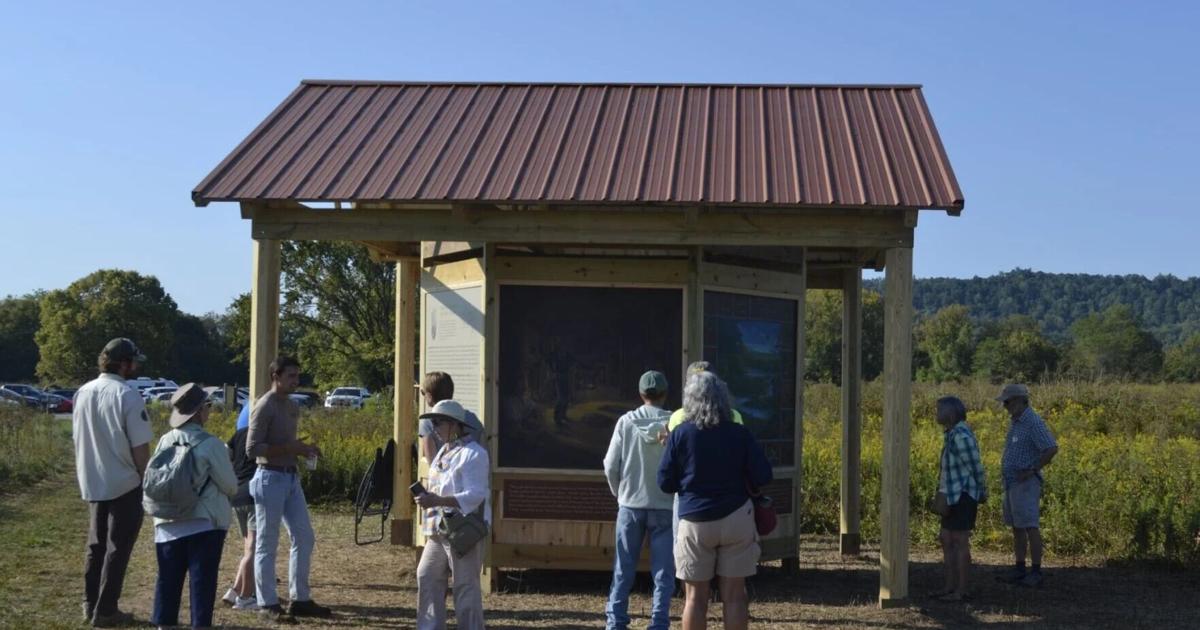 Brewing Locally Image