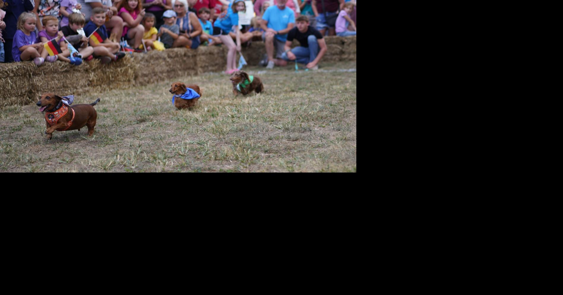 Read MoreRegistration Open for 4th Annual Downtown Chillicothe Oktoberfest Petland Wiener Races