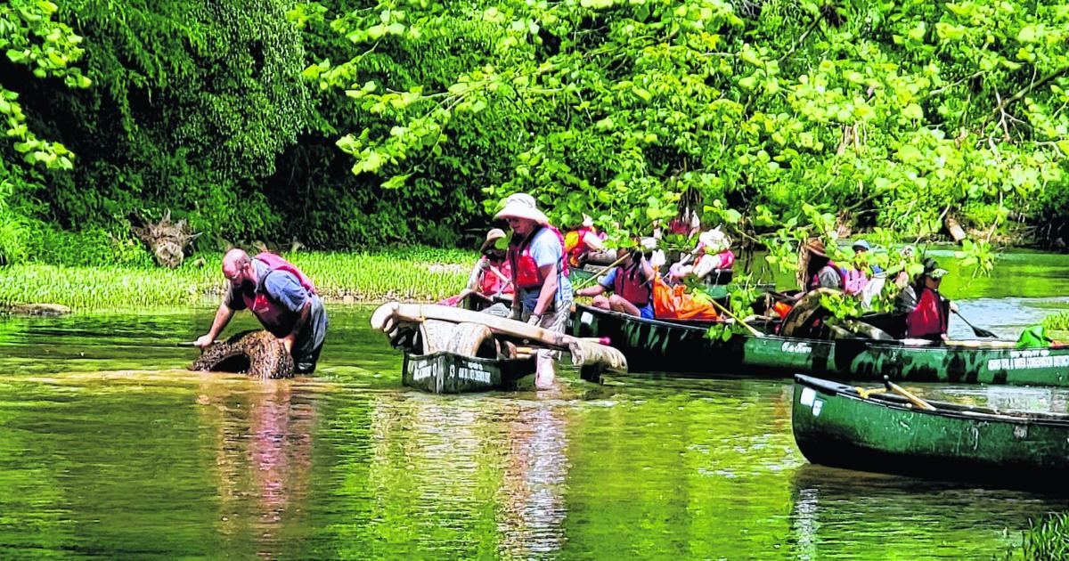 Brewing Locally Image