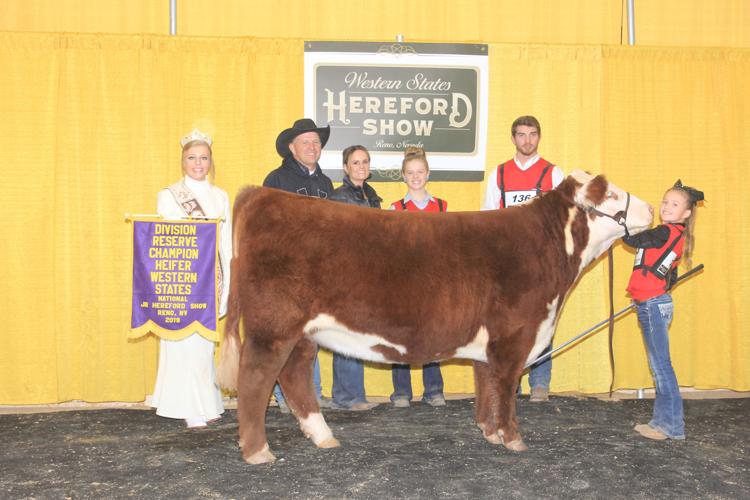 Blackfoot ranch to show bulls in livestock 'Super Bowl' Eastern Idaho