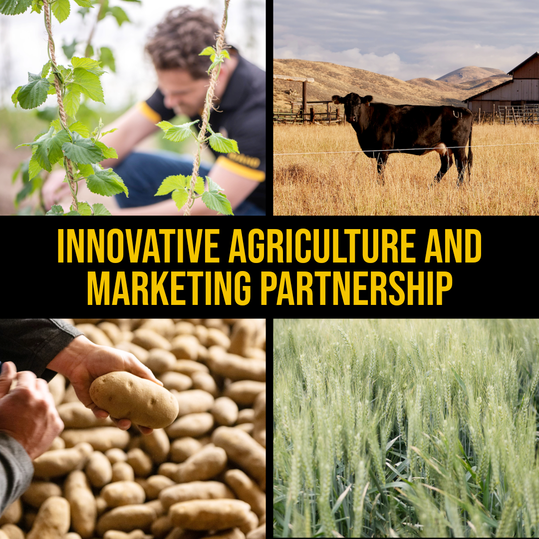 postregister.com - John O’Connell
University of Idaho - University of Idaho submits revised Innovative Agriculture and Marketing Partnership proposal