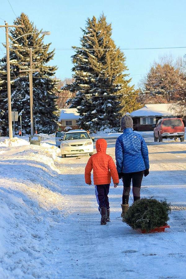City of Idaho Falls announces Christmas tree disposal sites | Local