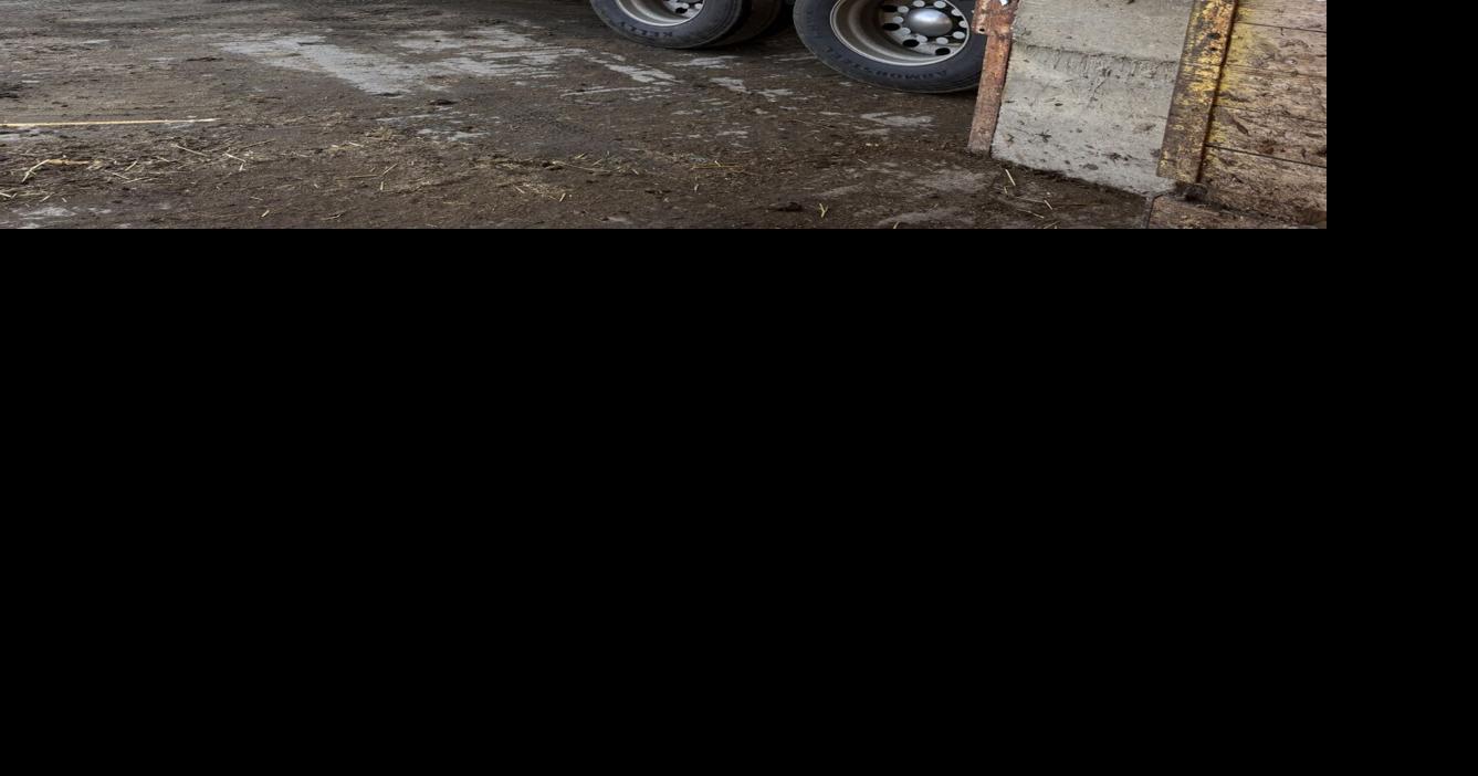 UI Extension launches STEER program to train first responders for ...