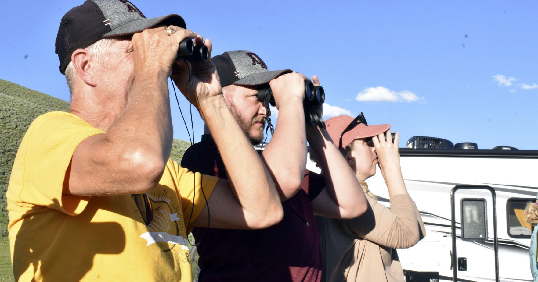 Move over grizzlies and wolves: Yellowstone visitors hope to catch glimpse of rare white buffalo - Vimarsana News