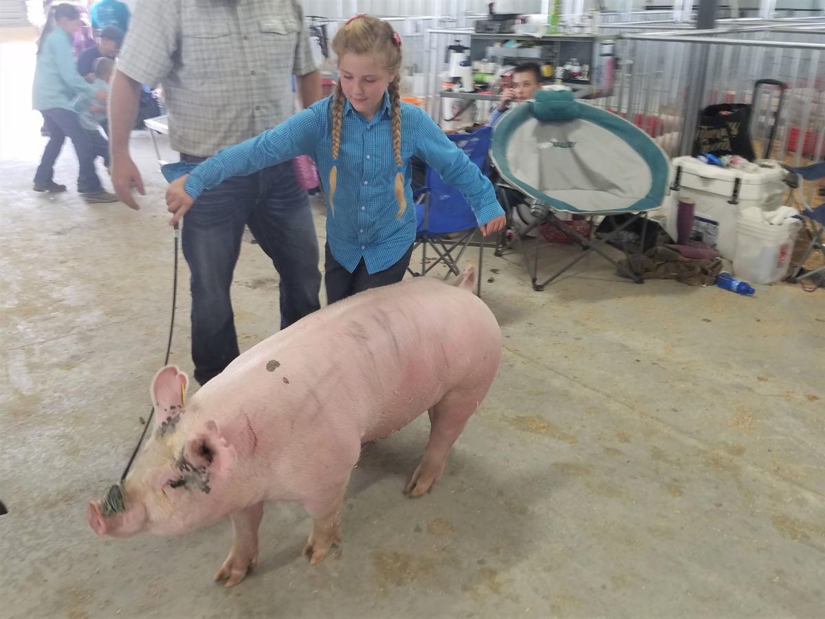 Bonneville County Fair 2022