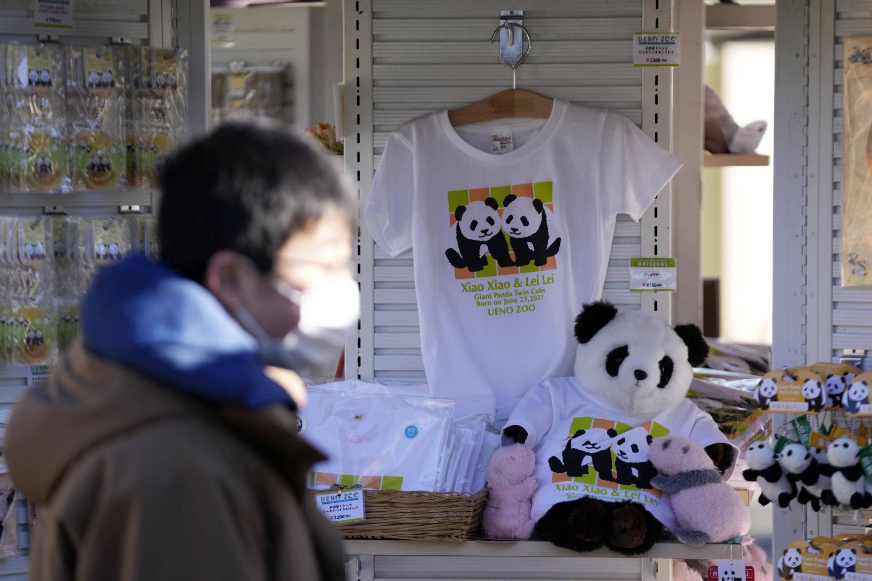 Twin panda cubs debut at Tokyo zoo, woo devoted fans | Features