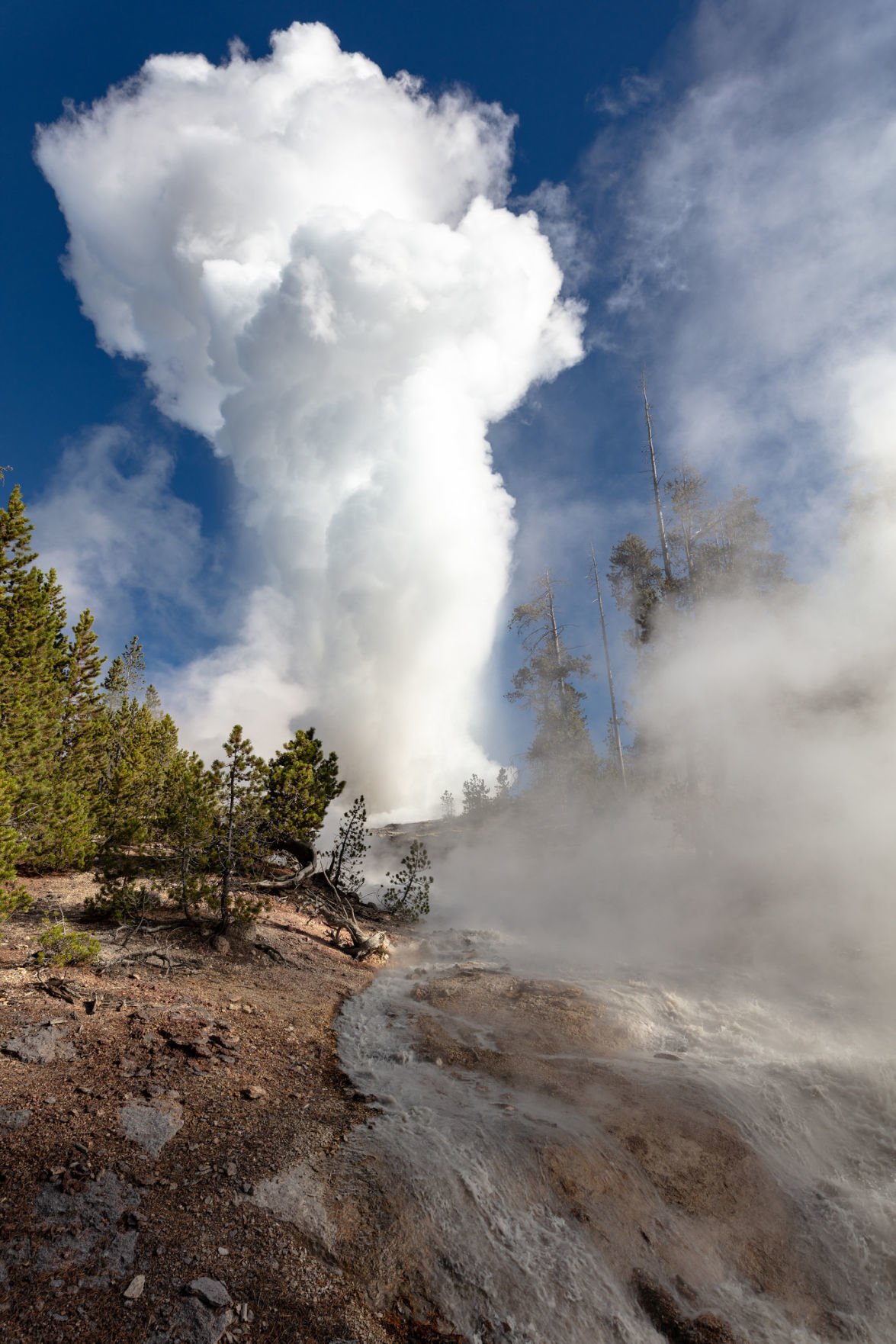 Yellowstone S Steamboat Geyser Erupts For Record 30th Time This Year