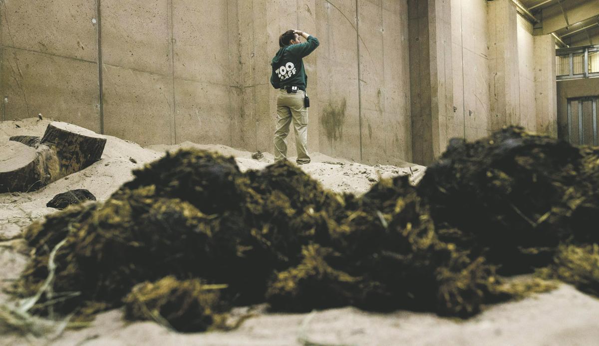 Zoo Uses Compost Farm To Manage Animal Waste Livestock Postregister Com