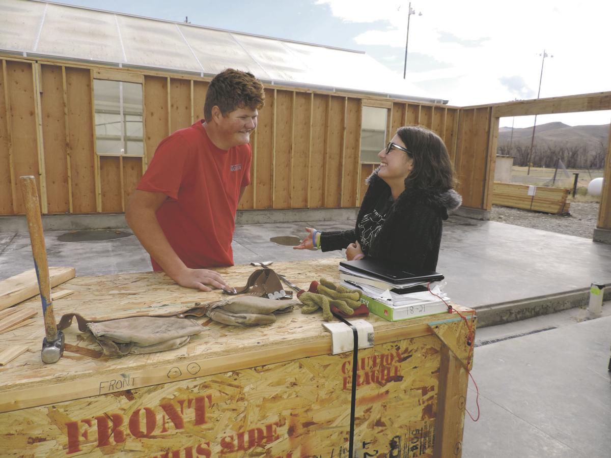 Cattle group backs new Mackay aquaculture lab | Local 