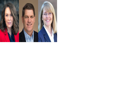 The hot seat: Rep. Mickelsen and Sen. Cook face allegations ...