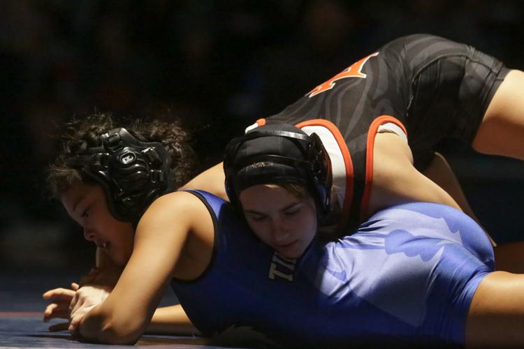 Hobbs, Copley shine at TigerGrizz wrestling championships